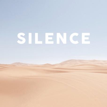 Fjara Silence
