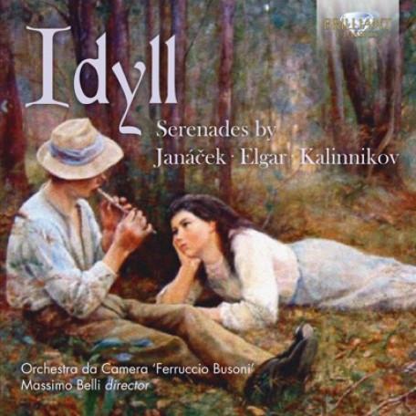 Serenade For Strings  op. 20 (3)