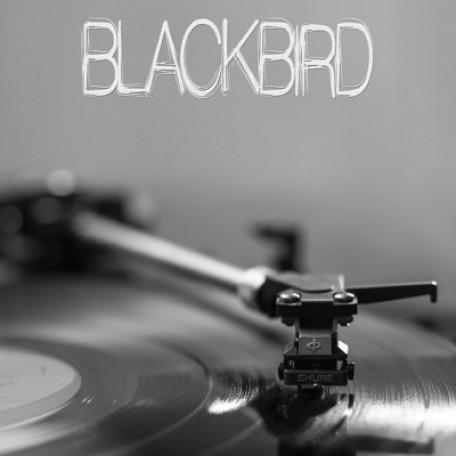 Blackbird