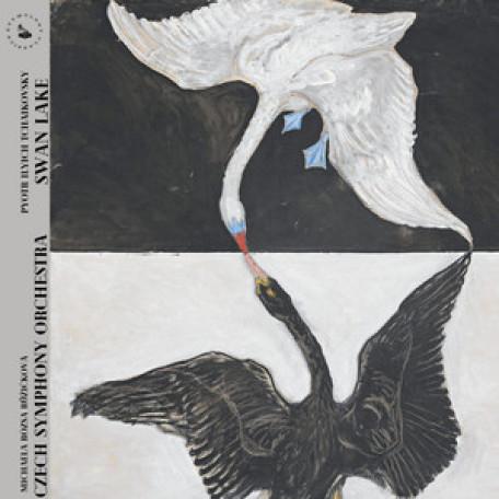 The Swan Lake - Waltz From Dance Of The Swans